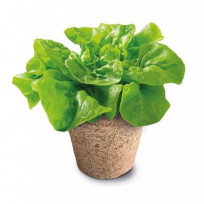 63297 MEGA BIO ΘΕΡΜΟΚΗΠΙΟ-ΜΑΘΑΙΝΩ Κ ΔΗΜΙΟΥΡΓΩ