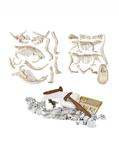 Clementoni T-Rex & Τρικερατώψ Επαυξημένη Πραγματικότητα Fluo - Μαθαίνω & Δημιουργώ 63403