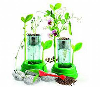 AS Company 63228 Ο ΚΗΠΟΣ ΜΟΥ (63228) - Μαθαίνω & Δημιουργώ