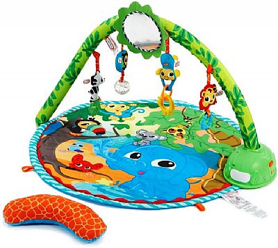 Little Tikes Βρεφικό Γυμναστήριο Ltt04000